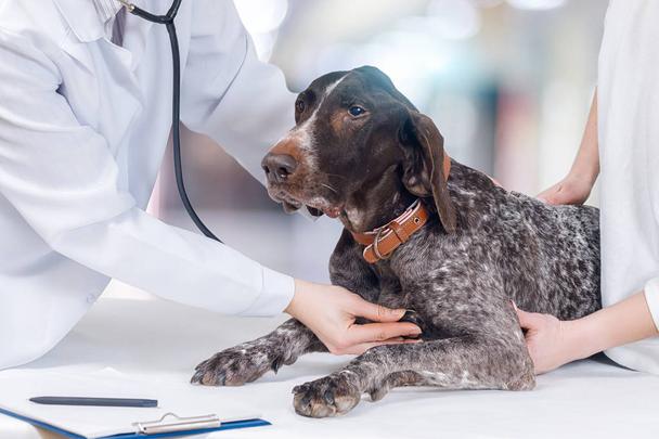 Bunbury Vet Hospital