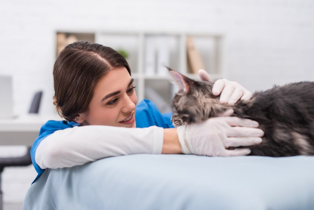 Pet medical service